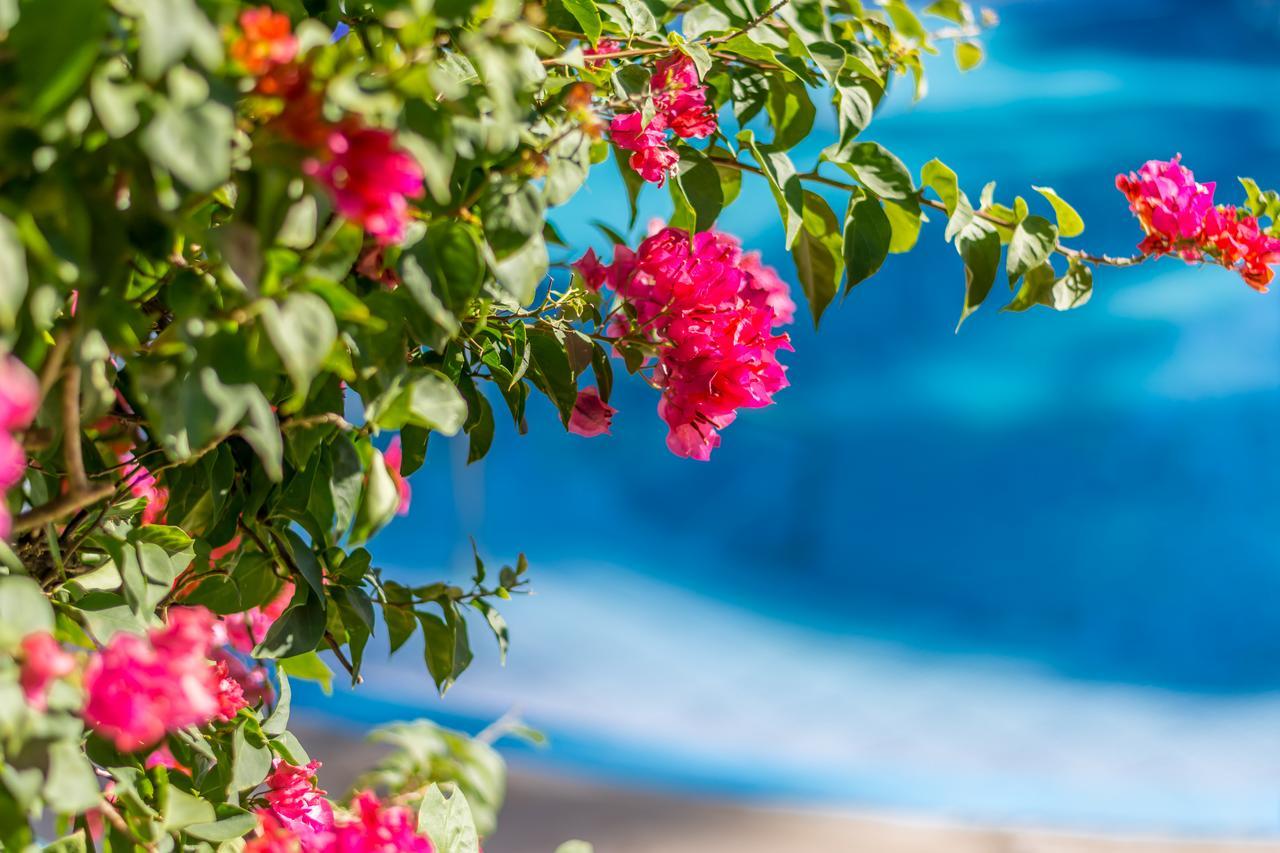 Hotel Colinas Del Sol 아테나스 외부 사진