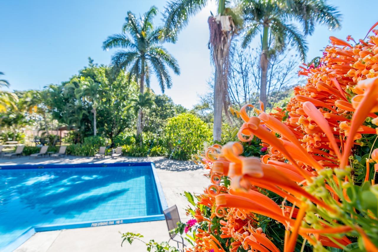 Hotel Colinas Del Sol 아테나스 외부 사진